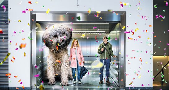 Nasser Hund mit Frauchen im Lift daneben ein Mann mit weissem Stock