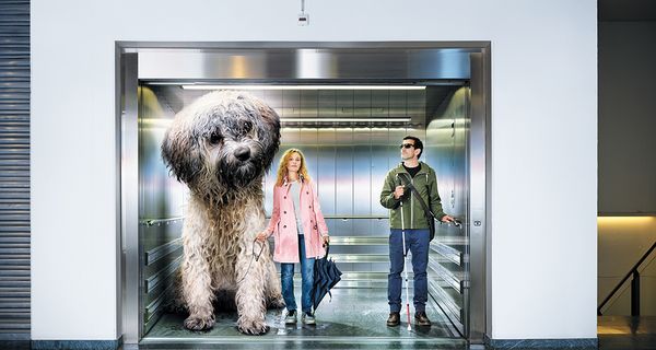 übergrosser nasser Hund im Lift mit einer blinden Person und dem Frauchen.